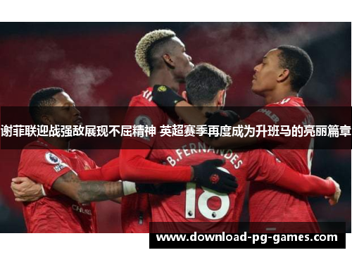 谢菲联迎战强敌展现不屈精神 英超赛季再度成为升班马的亮丽篇章